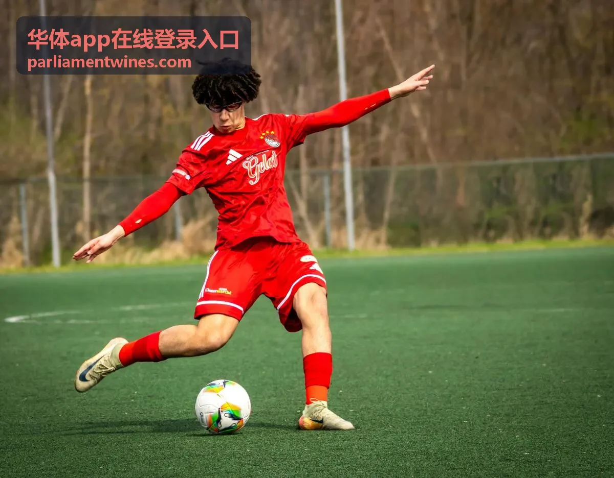 华体app 登录与账号安全设置