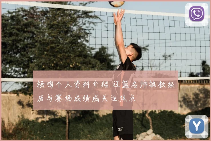 杨鸣个人资料介绍 辽篮名帅执教经历与赛场成绩成关注焦点
